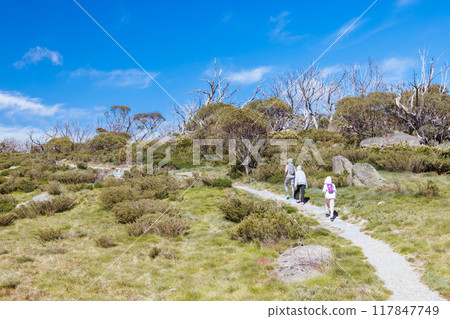 Porcupine Rocks Walk in Australia 117847749