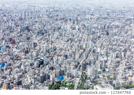 Tokyo Aerial View in Japan 117847768