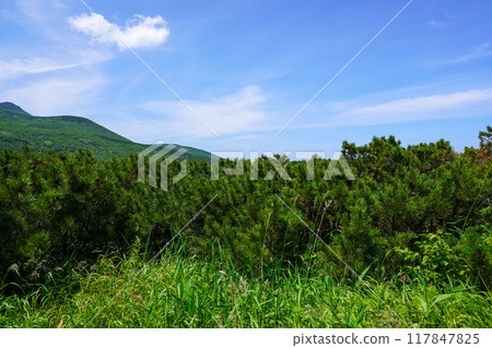 從知床通行證查看 117847825