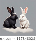 The beauty of opposites 117848028