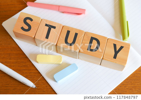 Study Homework 117848797