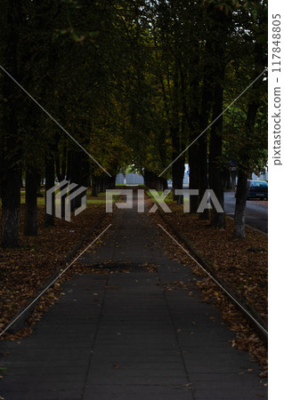 Evening in the park. A sidewalk in yellow foliage. The end of August 117848805