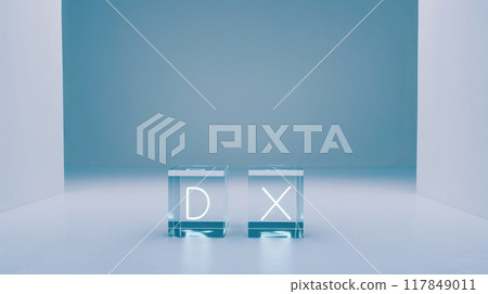 DX圖像 117849011