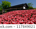 Tulip Bridge 117849021