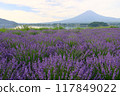 Lavender-scented Fuji 117849022