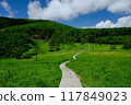 Boardwalk in early summer 117849023
