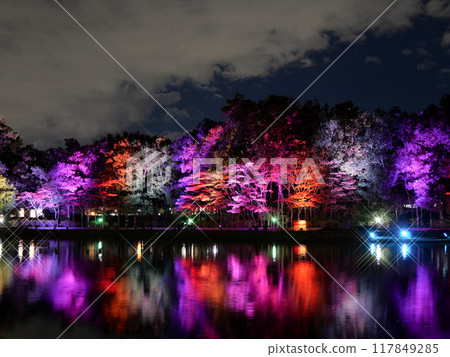 Shichikita Park (IZUMINATION2023) [Sendai City, Miyagi Prefecture] 117849285