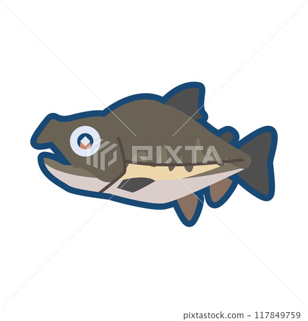 Cute pink salmon illustration 117849759