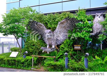 丹頂釧路機場 117849781