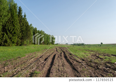 Dirt road along the forest edge 117850515