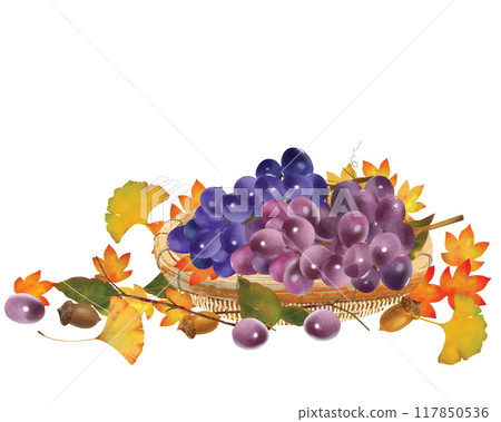秋味白色背景矢量圖素材，如籃子裡的葡萄、楓葉和橡子 117850536