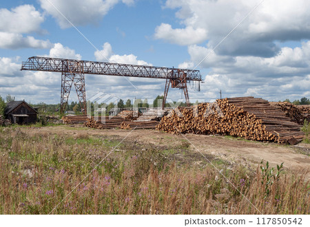 Pile of logs at railway station Pile of logs at railway station 117850542