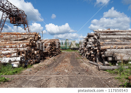 Stacks of logs at railway station Stacks of logs at railway station 117850543