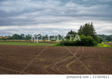 Brown soil and dark clouds at the Danish countryside around Skibinge, Denmark 117850621