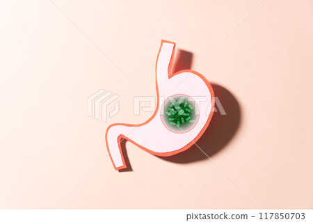 Helicobacter pylori bacteria infects human stomach. H.pylori infections may result in stomach inflammation (gastritis), peptic ulcer disease. Gastrointestinal concept. 117850703