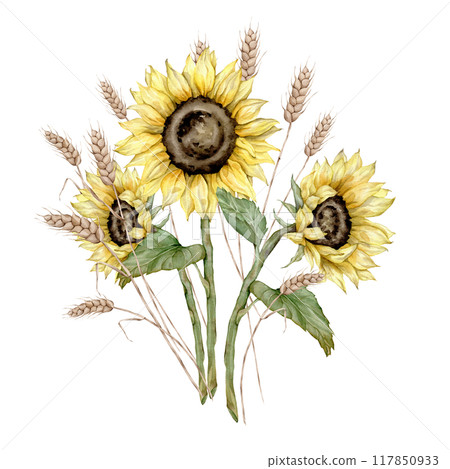 Watercolor hand drawn bouquet with sunflowers and spikelet wheat. Yellow flowers composition. Hand painted isolated on white background. Floral illustration for autumn design. Element plant twigs 117850933