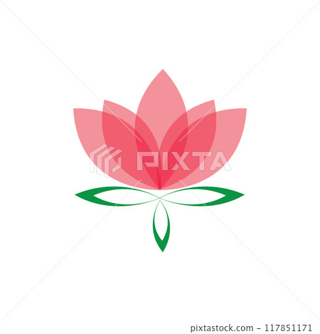 Lotus flowers illustration 117851171