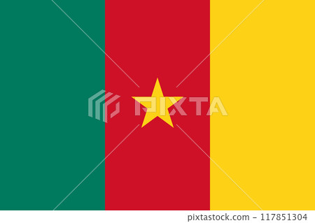 The official national flag of Cameroon. Flag of the Republic of Cameroon. Vector illustration 117851304