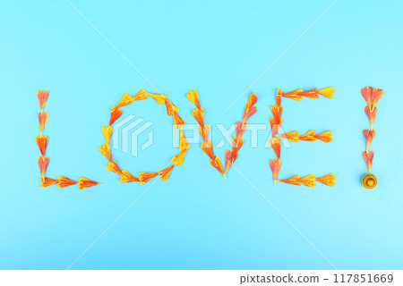 Close-up of the inscription LOVE with an exclamation mark made from Helenium flower petals on a blue background. Close-up of the inscription LOVE with an exclamation mark made from Helenium flower petals on a blue background. 117851669