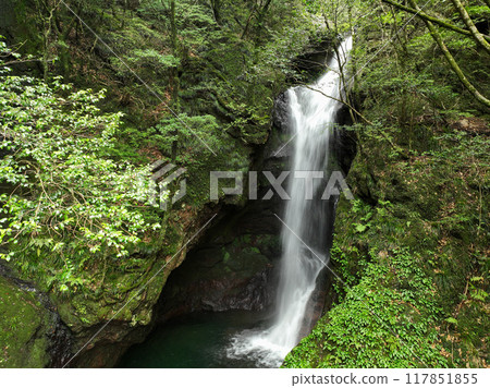 Seto Falls, Nankoku City, Kochi Prefecture 117851855