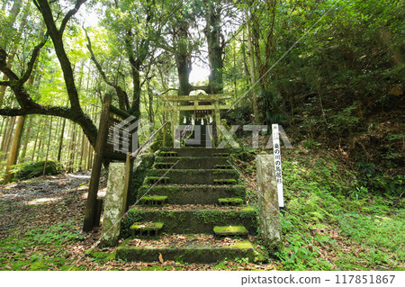 高知縣南國市 地州神社鳥居杉 117851867