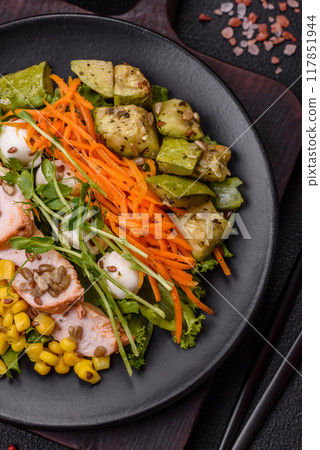 Fresh juicy salad with meat, mozzarella, carrots, lettuce, corn Fresh juicy salad with meat, mozzarella, carrots, lettuce, corn 117851944