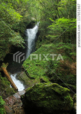 Seto Falls, Nankoku City, Kochi Prefecture 117851987