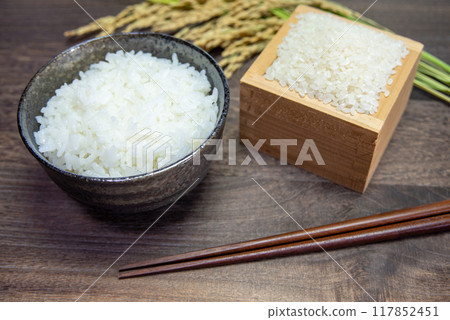 白米飯和白米飯盛在碗裡 白米飯和白米飯盛在碗裡 117852451