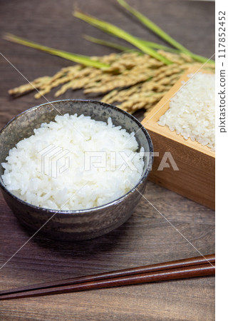 白米飯和白米飯盛在碗裡 白米飯和白米飯盛在碗裡 117852452