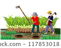 isolated agriculturist planting young coconuts vector design 117853018