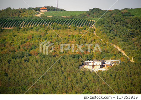 A picturesque vineyard landscape featuring a modern home nestled beneath the rolling hills 117853919