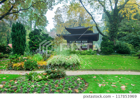 May view on Azalea blossoms in Leverkusen Japanese garden May view on Azalea blossoms in Leverkusen Japanese garden 117853969
