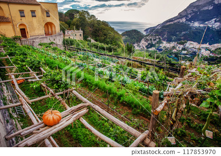 Market garden (kailgarden) in mountain village Ravello (town next to fantastic Amalfi coast) 117853970