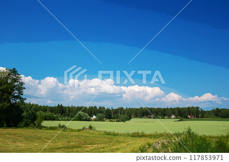 Amazing wheat field (hard wheat) in fantastic Finnish sunny day Amazing wheat field (hard wheat) in fantastic Finnish sunny day 117853971