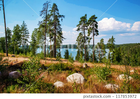 Classic finnish landscape withrocks and pine trees (coniferous trees) and lake - fantstic summer in happiest country in the world! 117853972