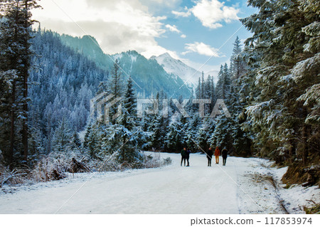 Amazing Tatra reserve landscape (nextto Zakopane) 117853974