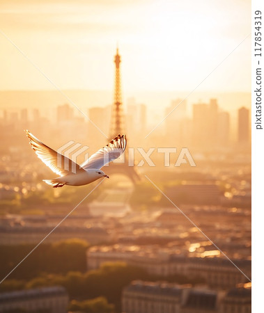 Seagull Soaring Over Paris at Sunset with Eiffel Tower in Background 117854319