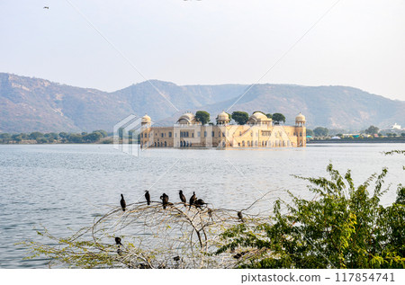 Jal Mahal of Jaipur, India standing in the middle of Man Sagar Lake, constructed around 1699 Jal Mahal of Jaipur, India standing in the middle of Man Sagar Lake, constructed around 1699 117854741