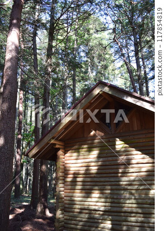 Log house built in the forest 117854819