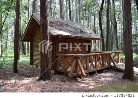 Log house built in the forest Log house built in the forest 117854821