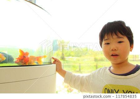 Goldfish and children Goldfish and children 117854835