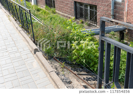 picket fence park damage broken outdoor garden nature green background landscape grass picket fence park damage broken outdoor garden nature green background landscape grass 117854856