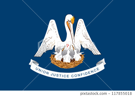 Louisiana State Flag background illustration Louisiana State Flag background illustration 117855018