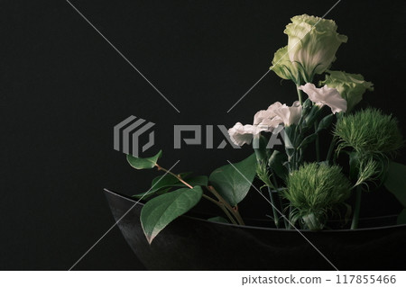Green and white fresh flowers, lisianthus, dianthus, bellflower, right, black Green and white fresh flowers, lisianthus, dianthus, bellflower, right, black 117855466