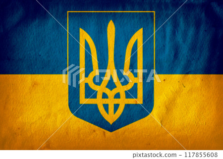 Flag of Invincible Ukraine. Free country of the world. 117855608
