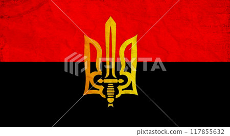 Flag of Invincible Ukraine. Free country of the world. 117855632