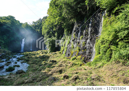 [Fujinomiya City, Shizuoka Prefecture] Shiraito Falls, shining amidst fresh greenery 117855804