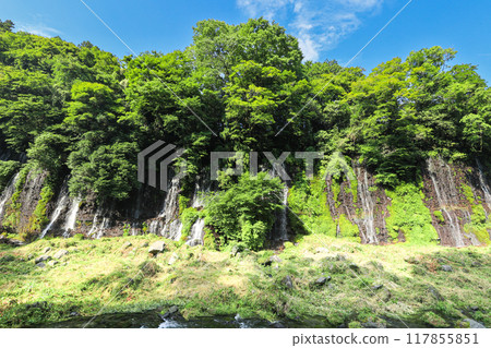[Fujinomiya City, Shizuoka Prefecture] Shiraito Falls, shining amidst fresh greenery 117855851