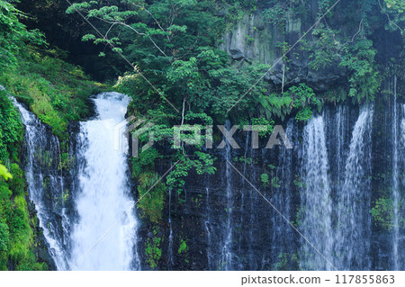 [Fujinomiya City, Shizuoka Prefecture] Shiraito Falls, shining amidst fresh greenery 117855863