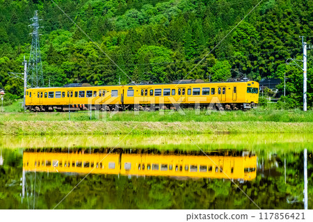 穿過新鮮綠色稻田的博備線 115 系列（全新 - 黑坂） 117856421